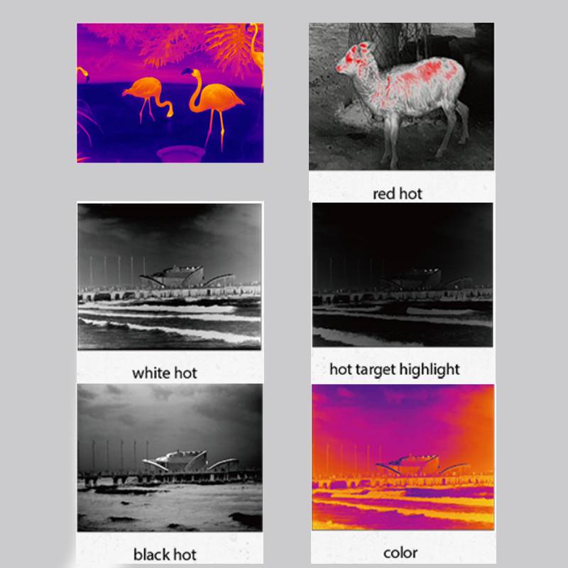 InfiRay – caméra thermique E2N E3N, Vision nocturne, pour la chasse en plein air, détecteur portatif, Observation patrouille, WiFi, imageur thermique étanche